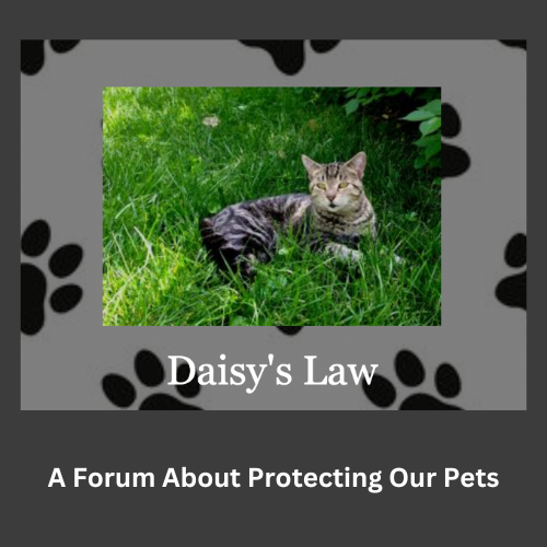 Pet Forum